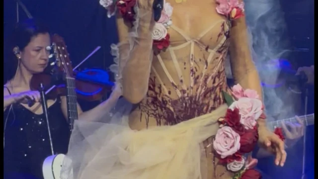 Ajda Pekkan, Harbiye Açıkhava konserinde yine sahne kostümüyle adından söz ettirdi